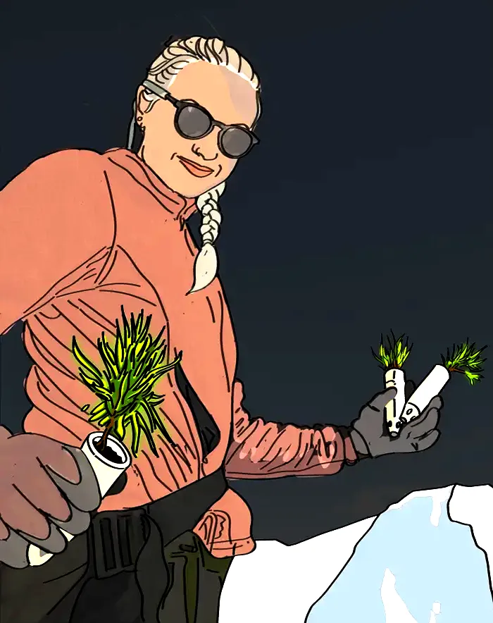 Eine Frau hält die Setzlinge der Weißstämmigen Kiefer in die Kamera. Im Hintergrund sieht man schneebedeckte Berge; auch hier wurden Figur und Berge nachgezeichnet.