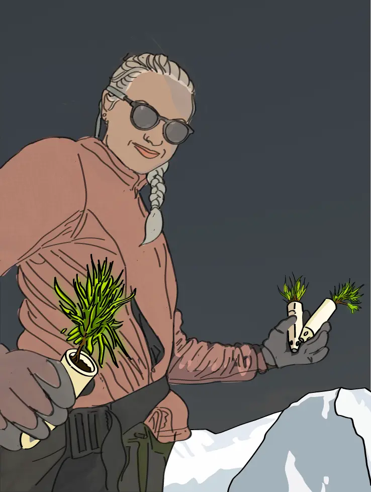 Eine Frau hält die Setzlinge der Weißstämmigen Kiefer in die Kamera. Im Hintergrund sieht man schneebedeckte Berge; auch hier wurden Figur und Berge nachgezeichnet.